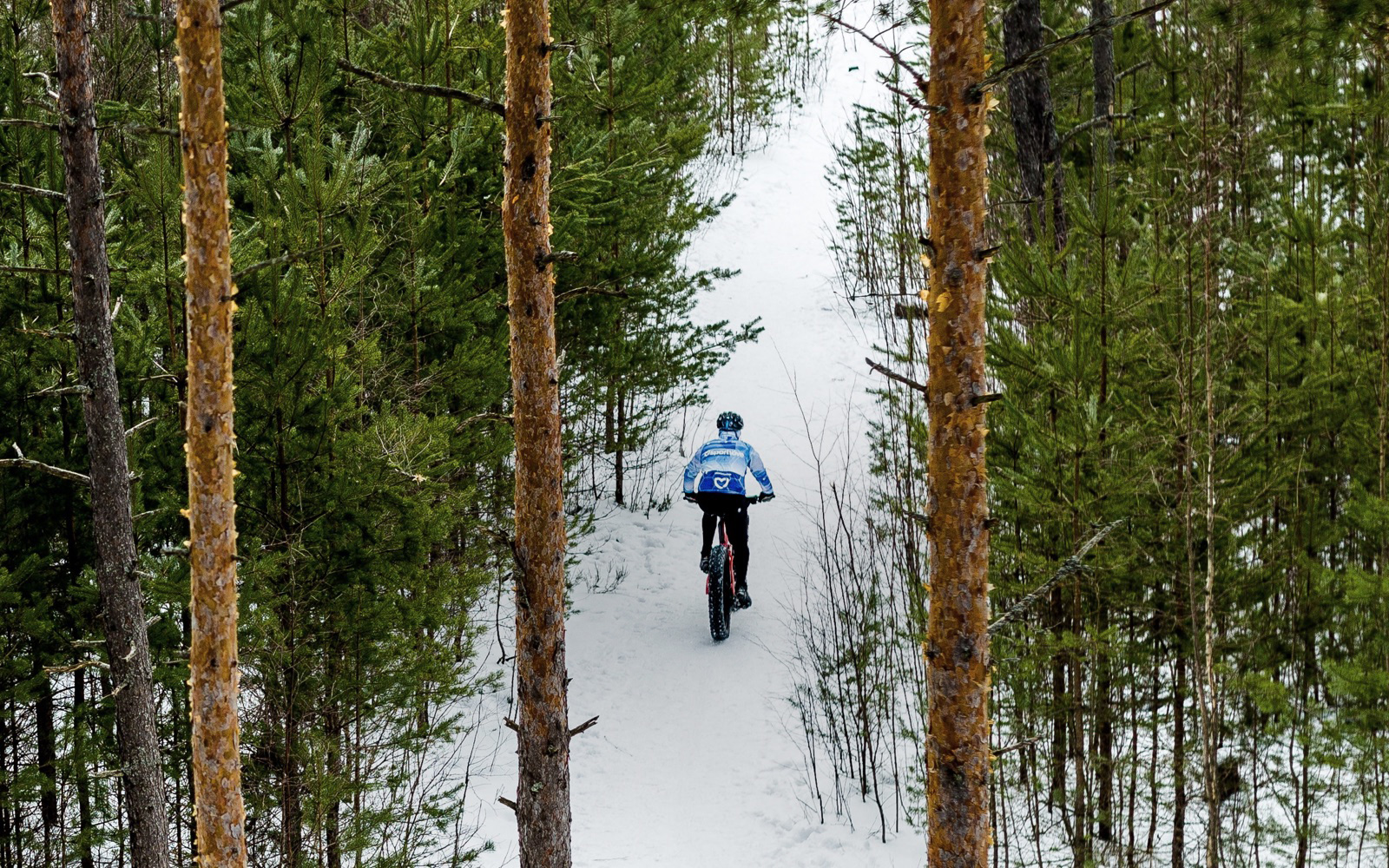 Snoy Rid Snowy Ride Through Canada – Off Road Tours Valle de Guadalupe